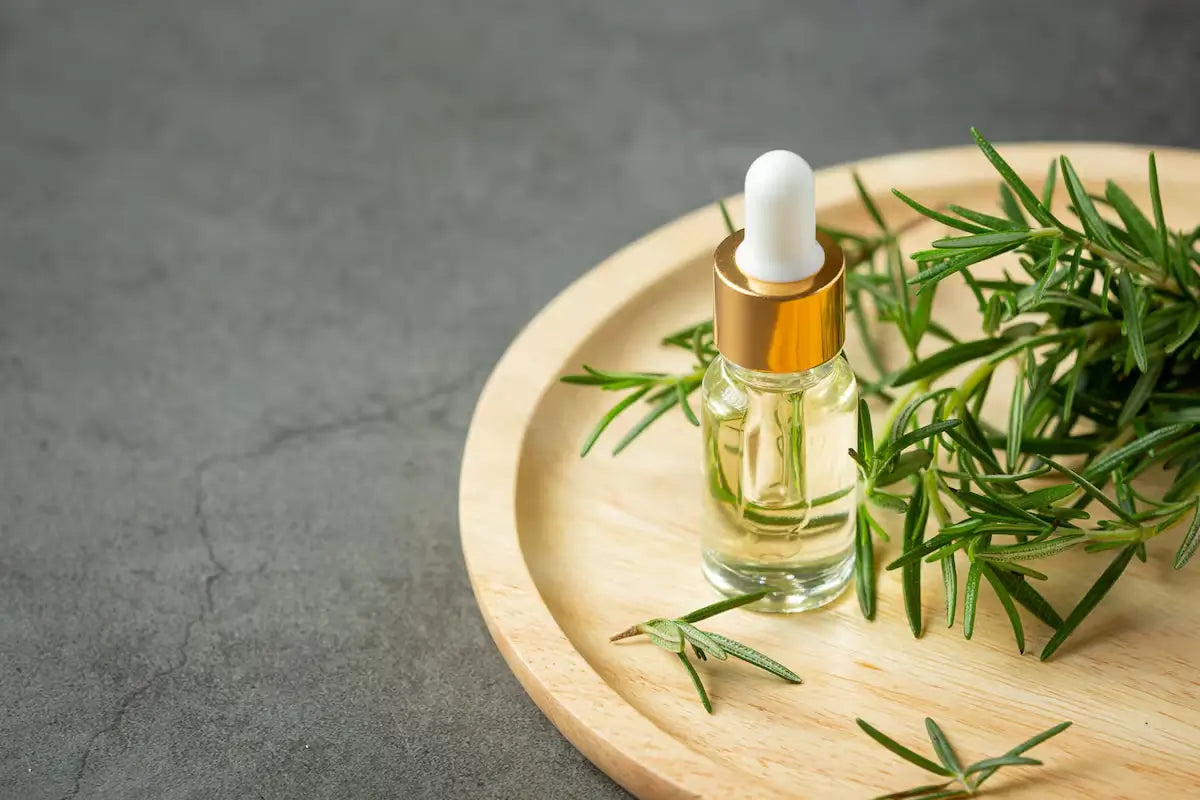 ¿Cómo hacer un ambientador casero? Ideas Naturales