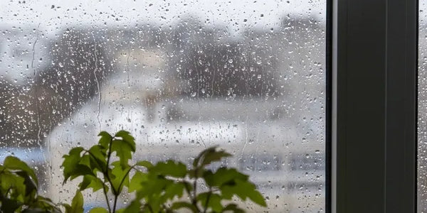 ¿Se pueden limpiar los cristales en días de lluvia? Mitos, verdades y consejos