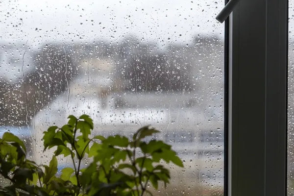 ¿Se pueden limpiar los cristales en días de lluvia? Mitos, verdades y consejos