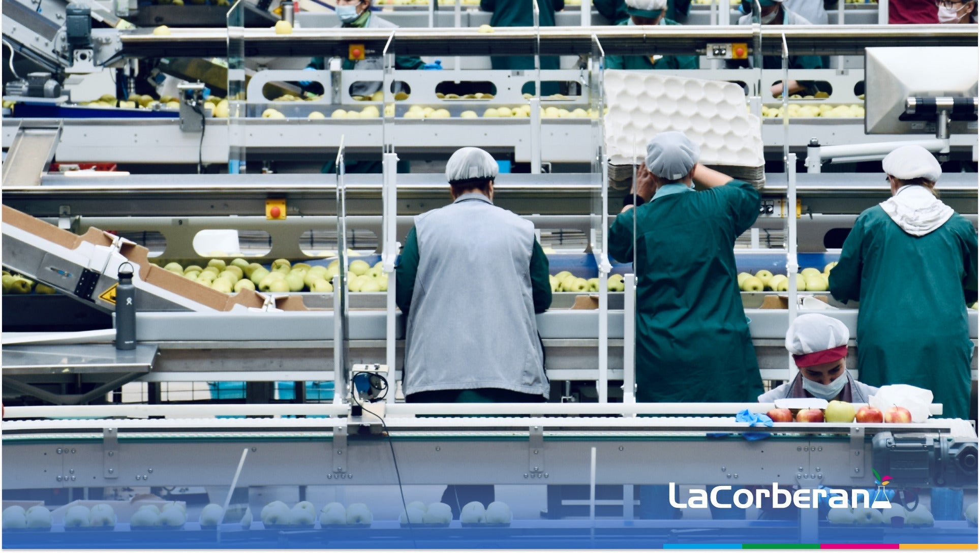 Limpieza y Desinfección en la Industria Alimentaria