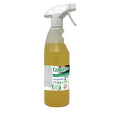 Limpia Cristales para Chimeneas Corglass (750 mL)